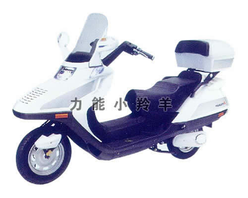 大綿羊